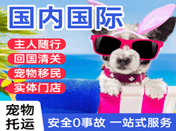 乌兰浩特义勒力特机场邮寄国际宠物托运 【国